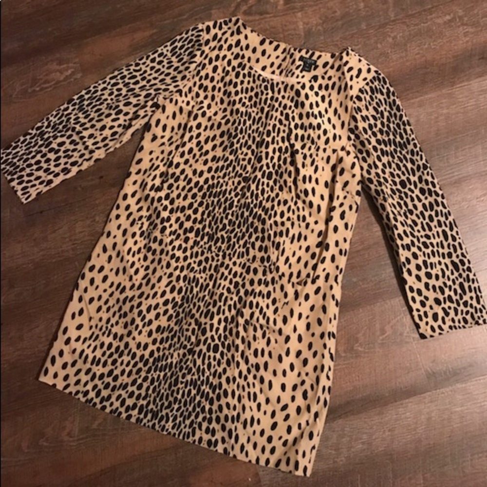 Jcrew Leopard Shift Dress